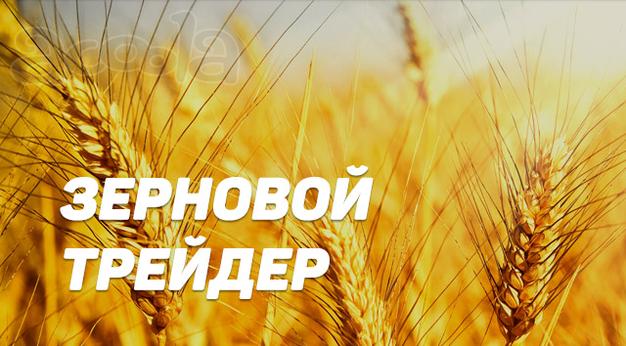 Продаю пшеницу кл.4 (ГОСТ)  На элеваторе жд